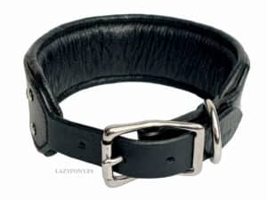Padded Collar for big Dogs Lazypony