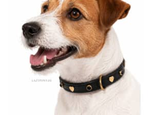 Leather Collar for Small Dog Flower Lazypony with Name Tag ID and Rivets