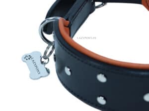 Padded Custom Collar for Large Dogs with Name