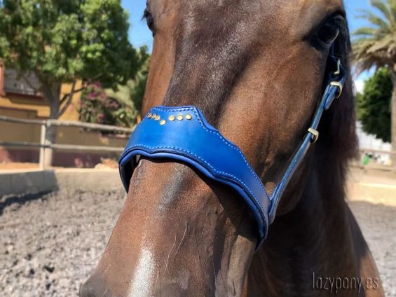 fancy browband