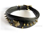 spike dog collar Lazypony