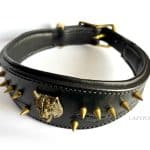 black spiked leather dog collar Lazypony