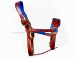 Brown and blue Anatomical leather halter Heart Lazypony
