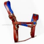 Anatomical leather halter Heart Lazypony with two buckles.