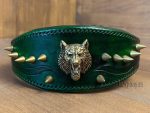 spiked dog collar