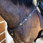 portuguese breastplate Lazypony