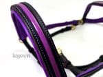 bitless bridle sidepull lazypony