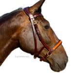leather bitless sidepull bridle Lazypony
