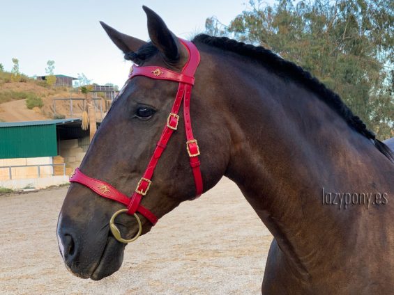 baroque horse tack