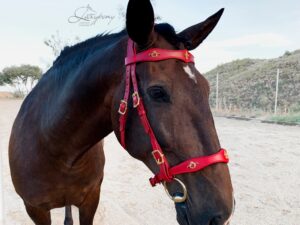 Baroque leather bridle Vienna Lazypony, flor de lis conchos and portuguese buckles