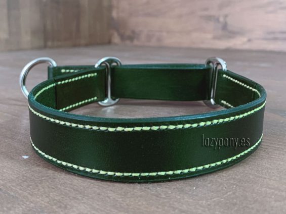 leather martingale collar