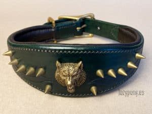 wide leather collar