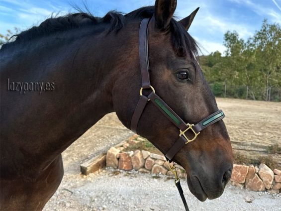 patent leather halter