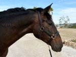 patent leather halter