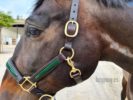 patent leather halter