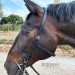 no noseband bridle Lazypony