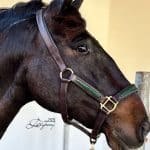 patent leather horse halter Lazypony