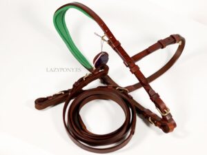 anatomical bridle without noseband