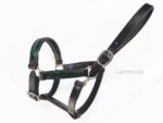 patent leather horse halter Lazypony
