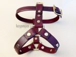 dog harness