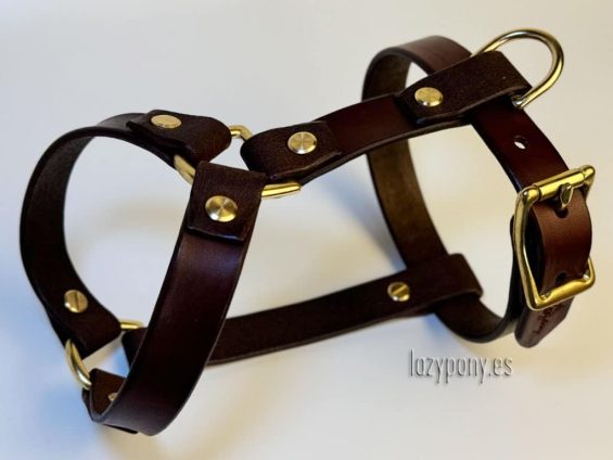 leather harness