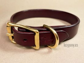 leather dog collar