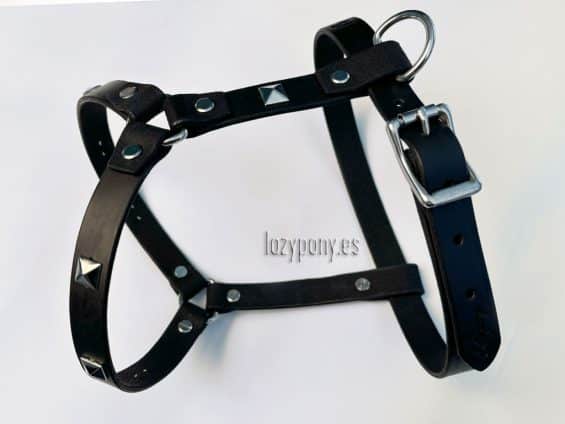 anatomical dog harness