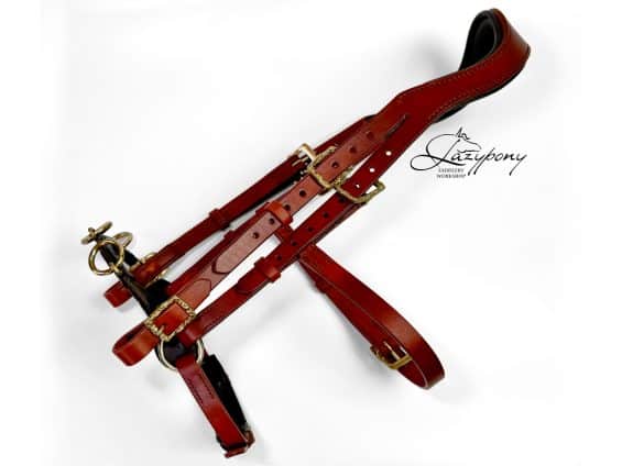 chain noseband bridle