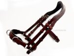 academic horse bridle Lazypony