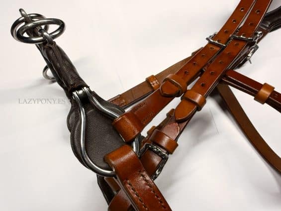 chain noseband bridle