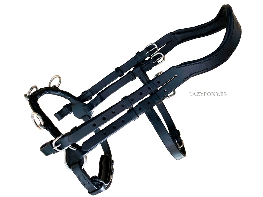 academic cavesson bridle with bit straps