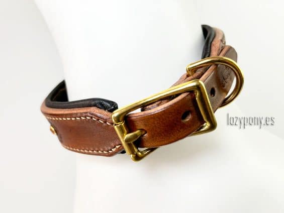 aster leather dog collar Lazypony