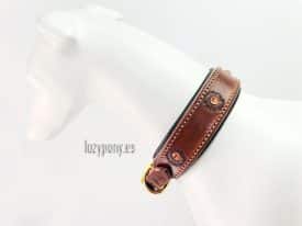 aster leather dog collar Lazypony