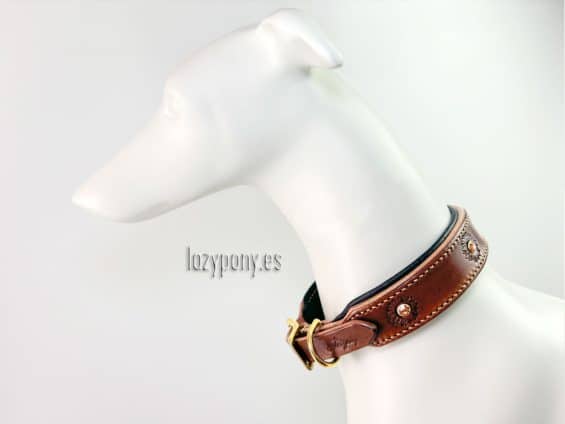 aster leather dog collar Lazypony