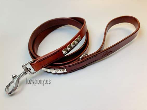 clincher dog leash Lazypony