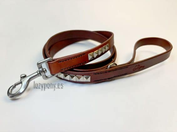 clincher dog leash Lazypony