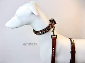 clincher dog collar and leash set Lazypony