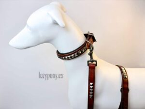clincher dog collar and leash set Lazypony