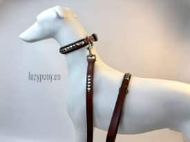 clincher dog collar and leash set Lazypony