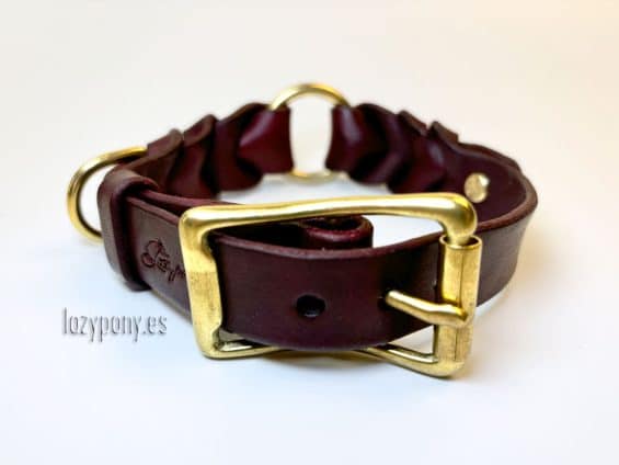 braided dog collar Lazypony