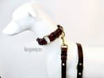 Leather braided dog collar Lazypony with lead