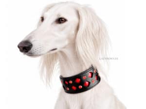 patent leather greyhound collar Lazypony