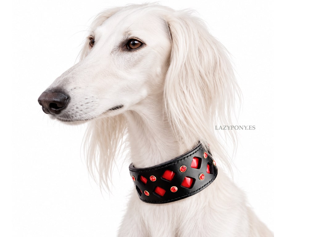 2646 patent leather greyhound collar Lazypony