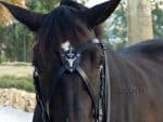 gothic x browband