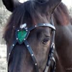 Cross armour browband Lazypony