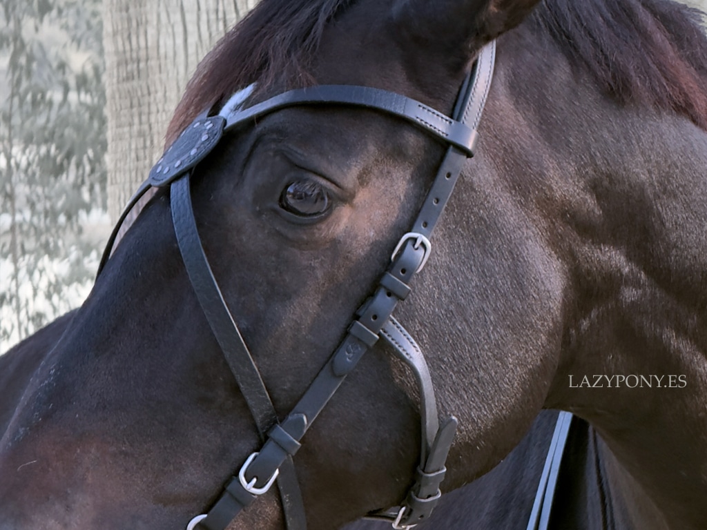 Leather X browband Celtic Lazypony, medieval custom cross browband