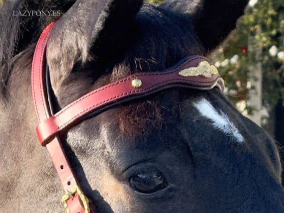 baroque leather horse browband