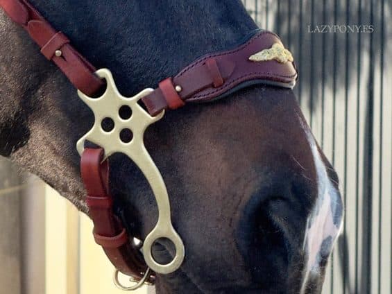 baroque hackamore Lazypony