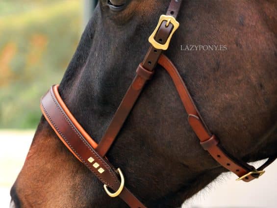 leather sidepull Lazypony