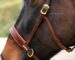 bitless leather sidepull Lazypony with brass buckles